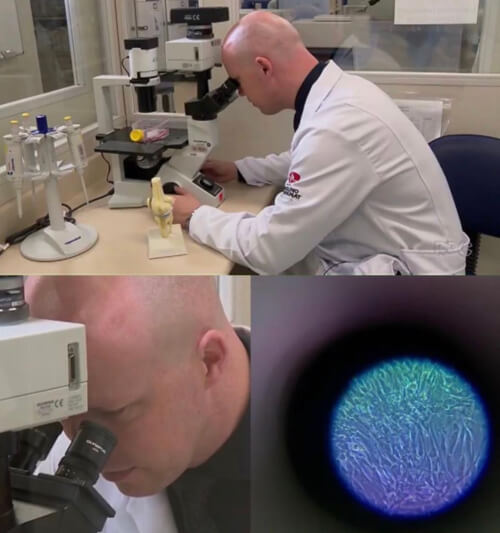 Dr Fabiano No Microscopio Com Celulas Tronco Red
